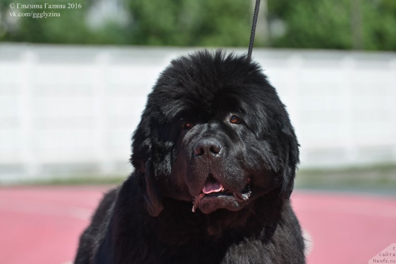 Фотография № 212039