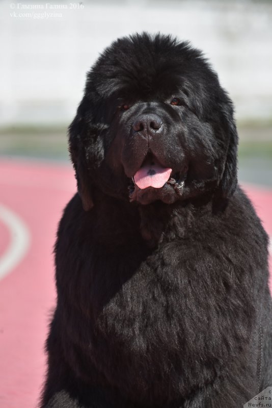 Фотография № 212040