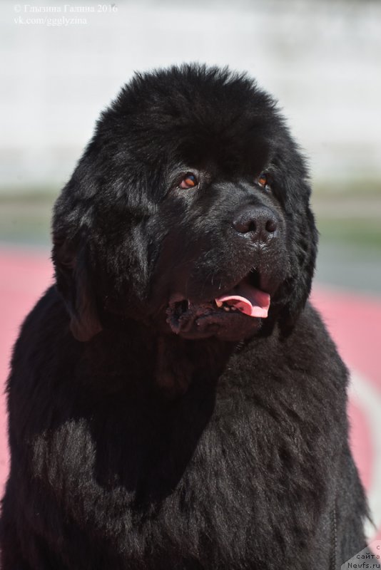 Фотография № 212041