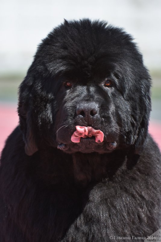 Фотография № 212042