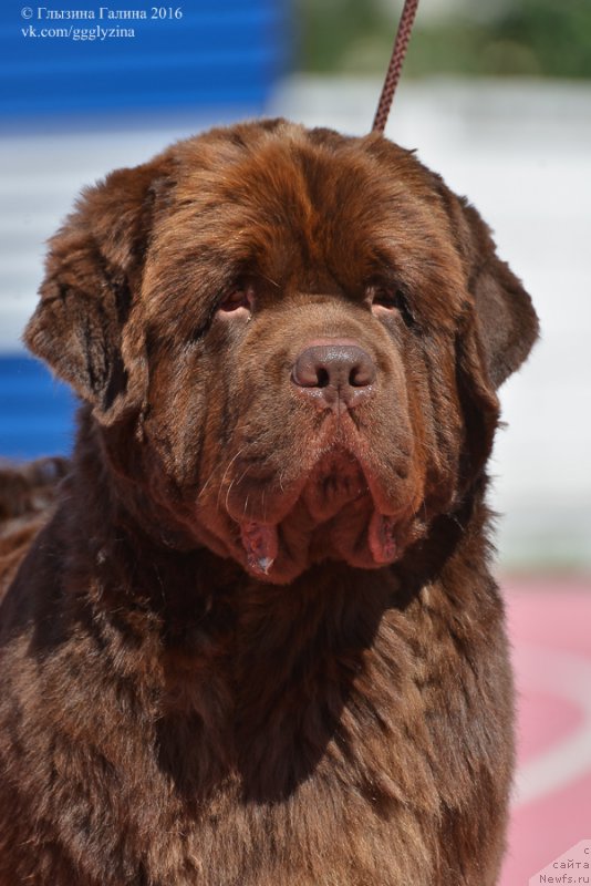 Фотография № 212044