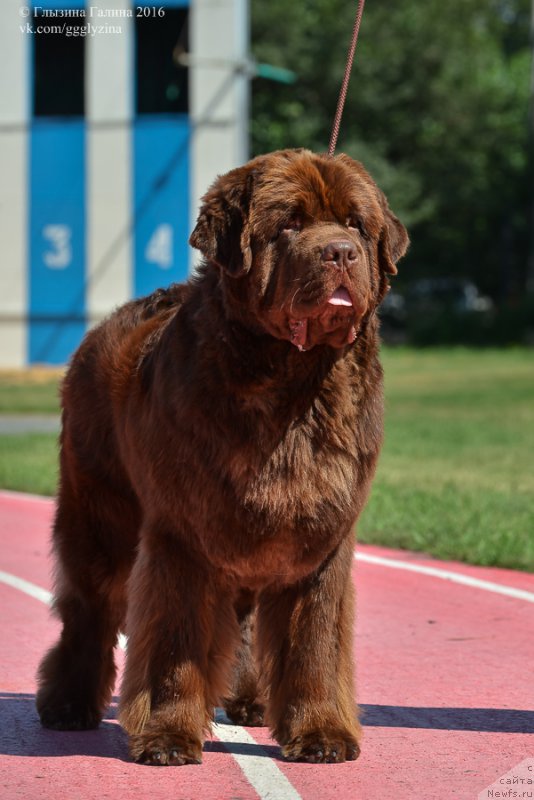 Фотография № 212045