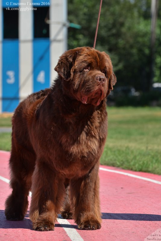 Фотография № 212046