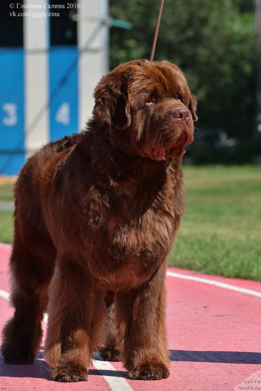 Фотография № 212047