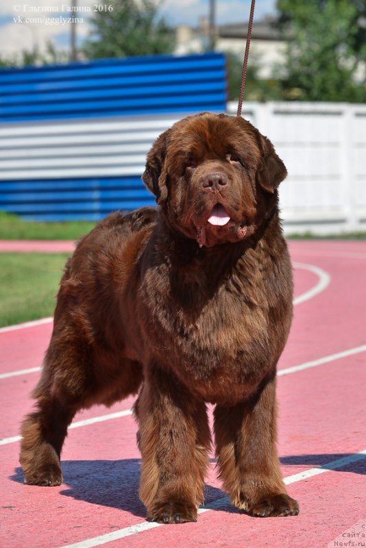 Фотография № 212048