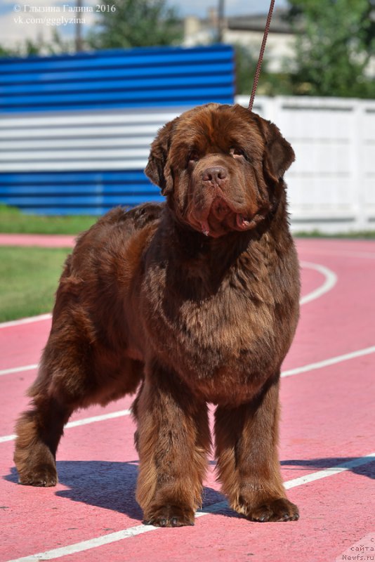 Фотография № 212049