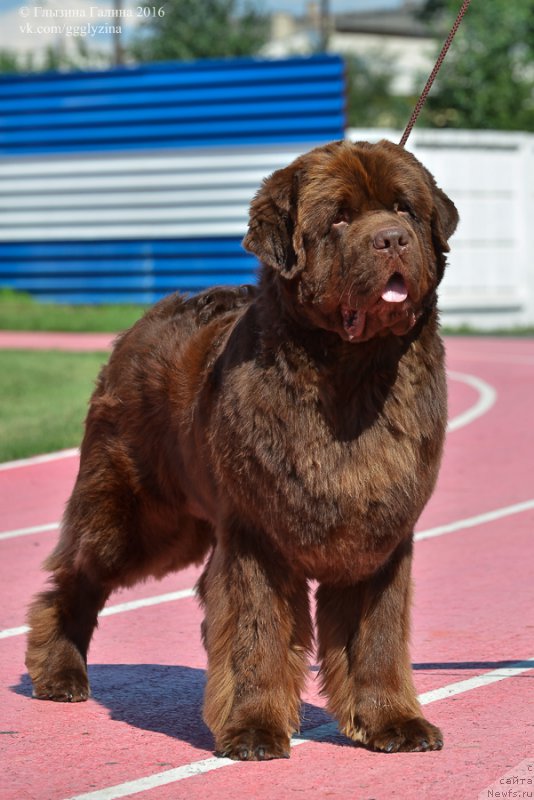 Фотография № 212051