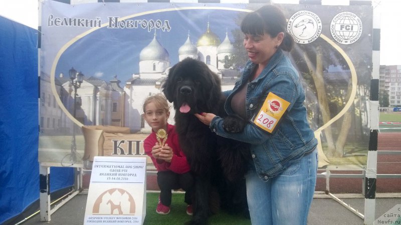 Фотография № 212065