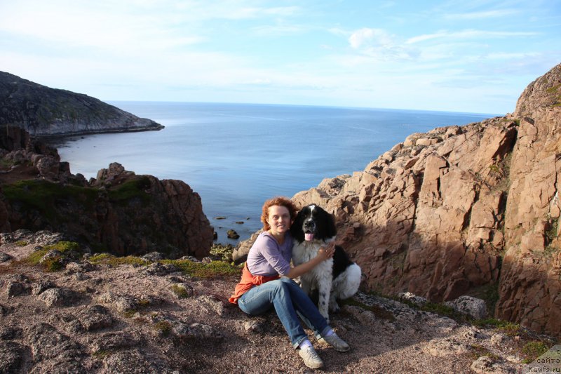 Фото: ньюфаундленд Bering ot Karel'skih Medvedey (Беринг от Карельских Медведей)