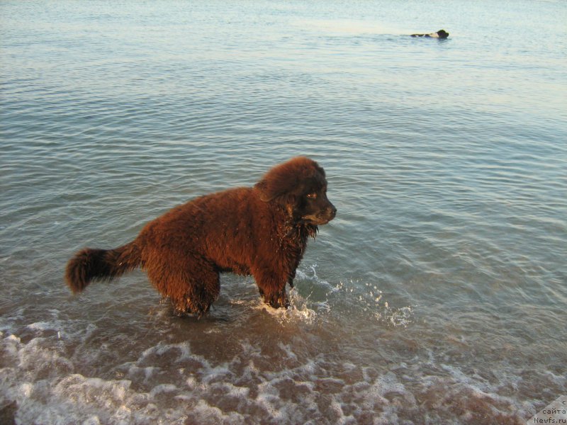 Фотография № 212079