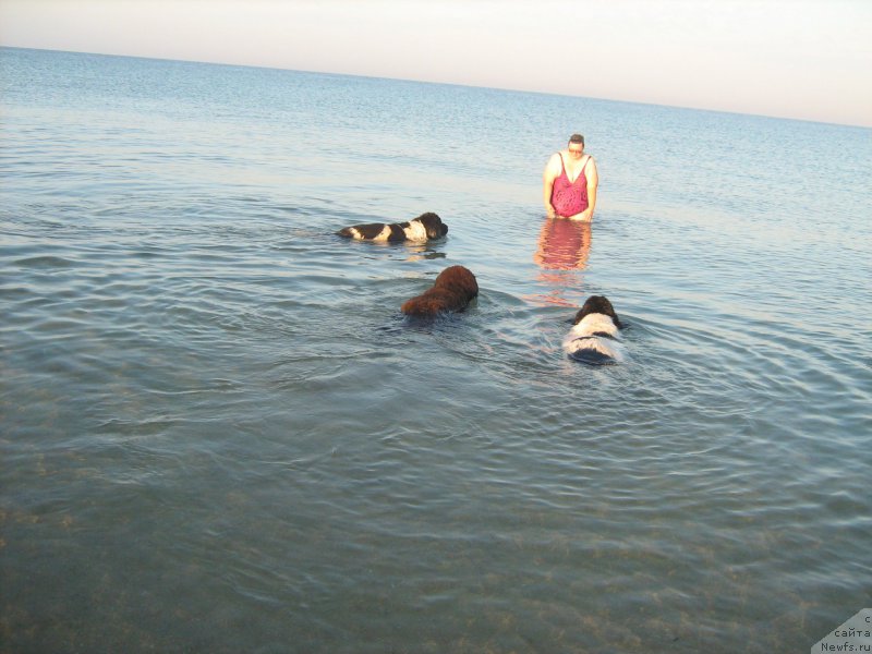 Фотография № 212080