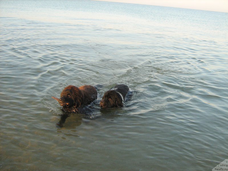 Фотография № 212081