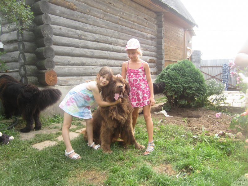 Фото: Natal'ya Smazchikova (Наталья Смазчикова)