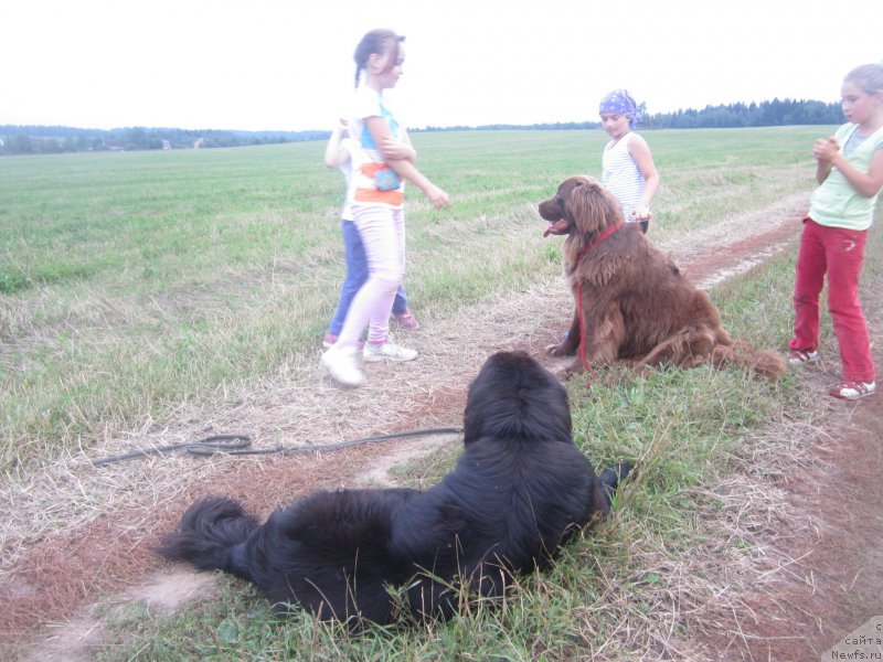 Фото: Natal'ya Smazchikova (Наталья Смазчикова)