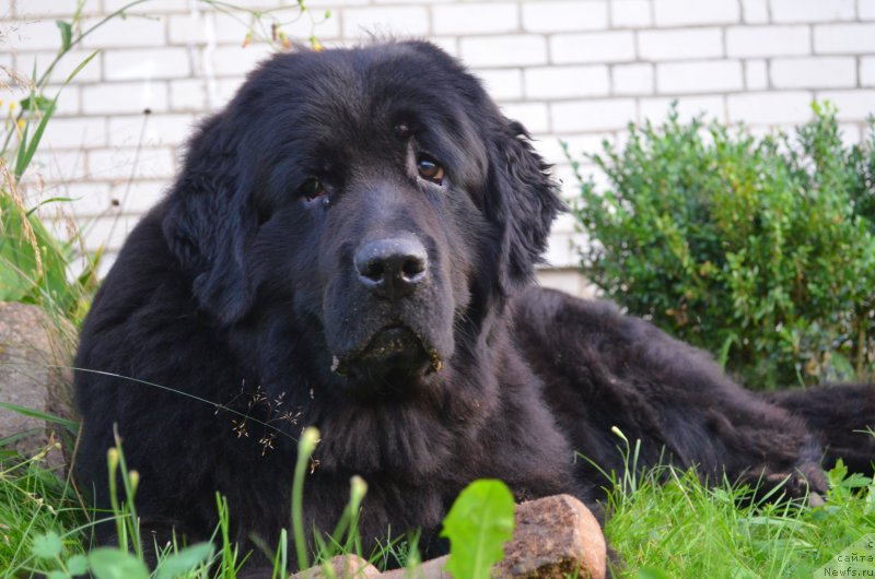 Фотография № 212113