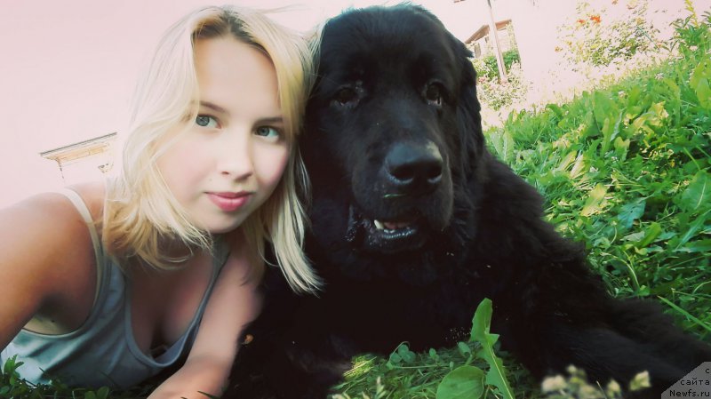 Фото: ньюфаундленд CHernyiy Balu Zahar (Черный Балу Захар)