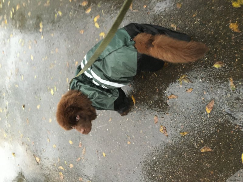 Фотография № 212127