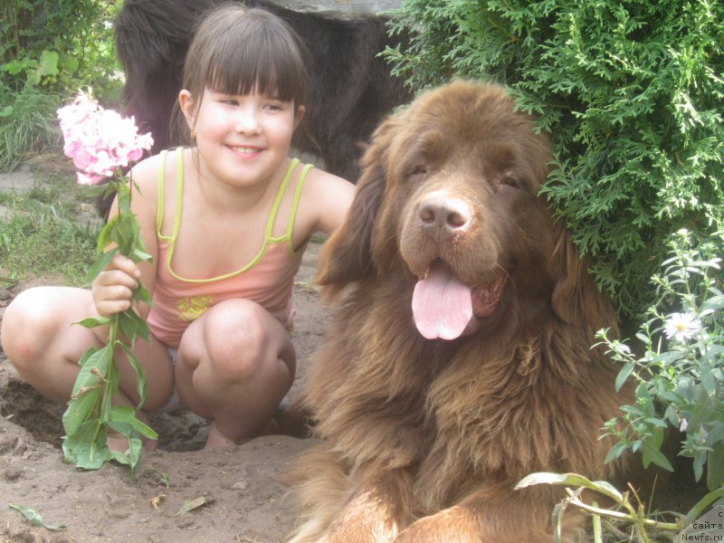 Фото: Natal'ya Smazchikova (Наталья Смазчикова)