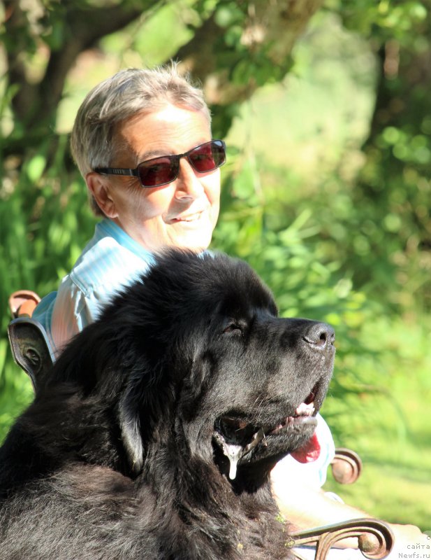 Фото: ньюфаундленд Akvatoriya Kelvin YU Myeyk May Drim (Акватория Келвин Ю Мэйк Май Дрим)