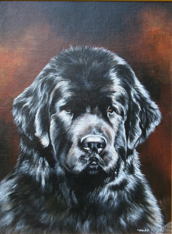 Фотография № 212164