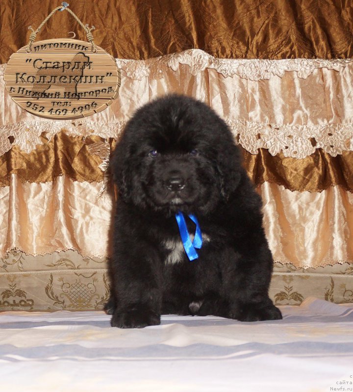 Фотография № 212165