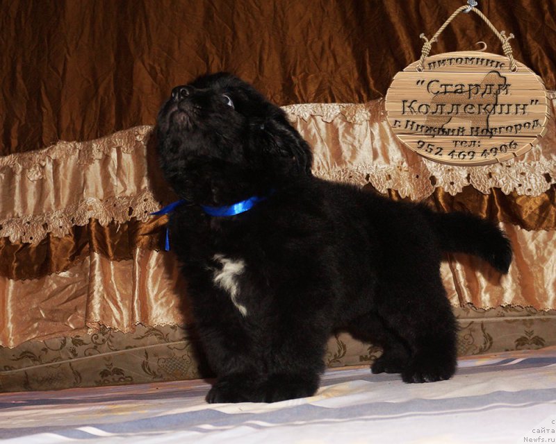 Фотография № 212168