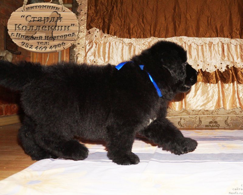 Фотография № 212170