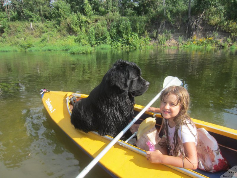 Фотография № 212175