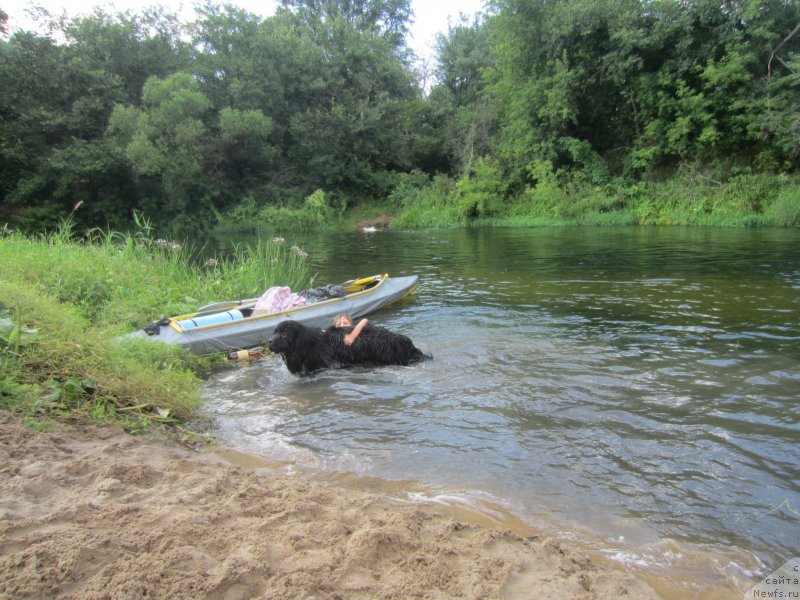 Фотография № 212178