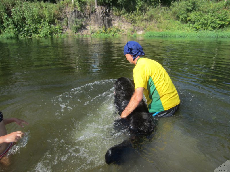 Фотография № 212184