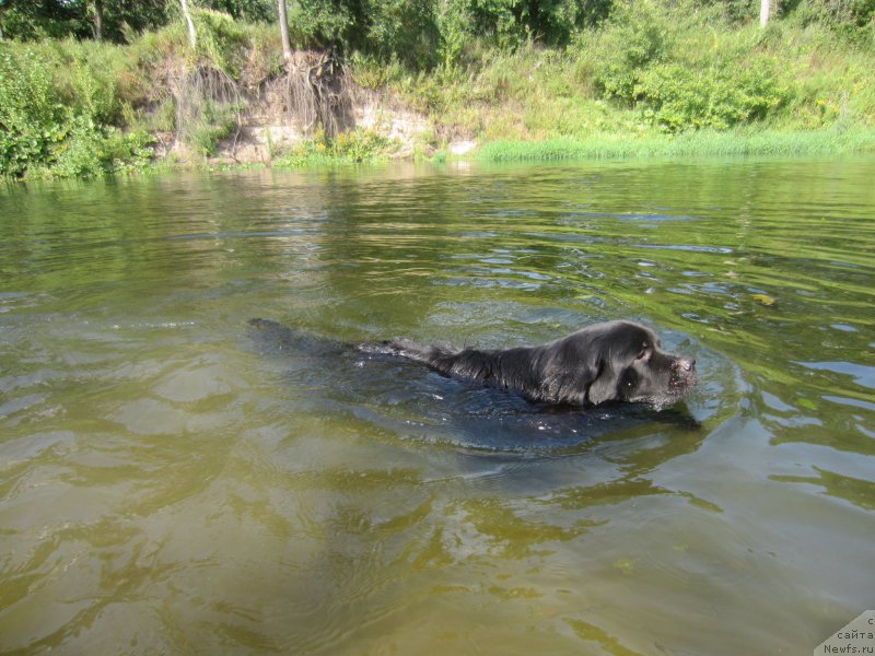 Фотография № 212186