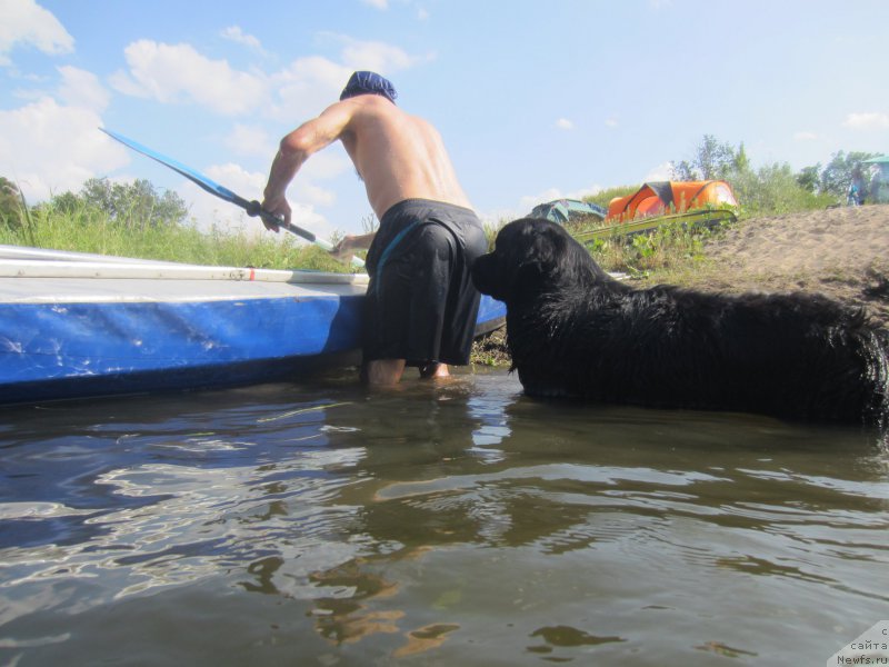 Фотография № 212187