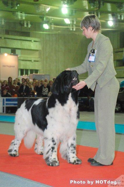 Фотография № 21230