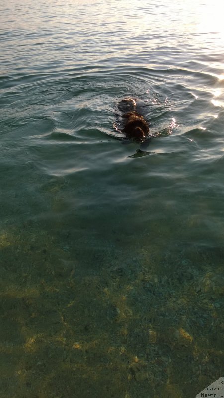 Фотография № 212300