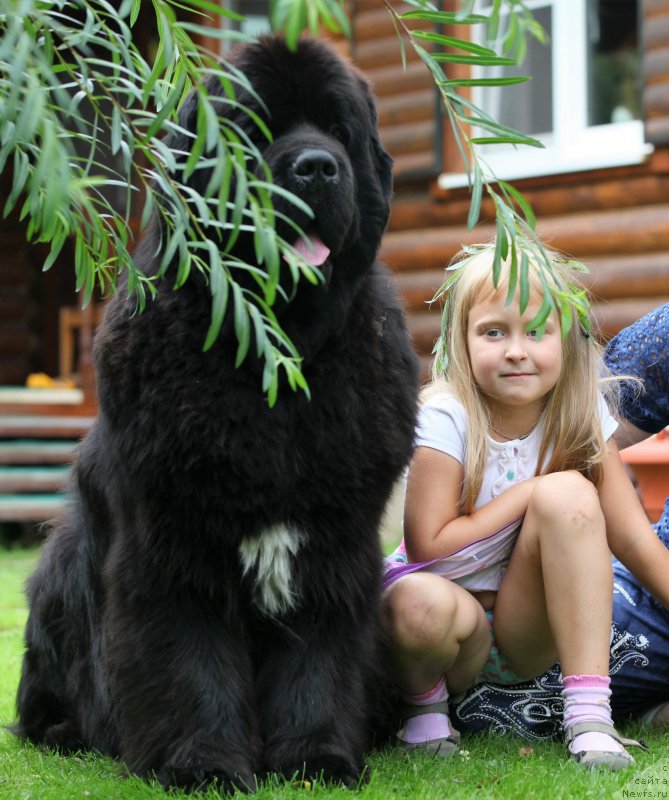 Фотография № 212310