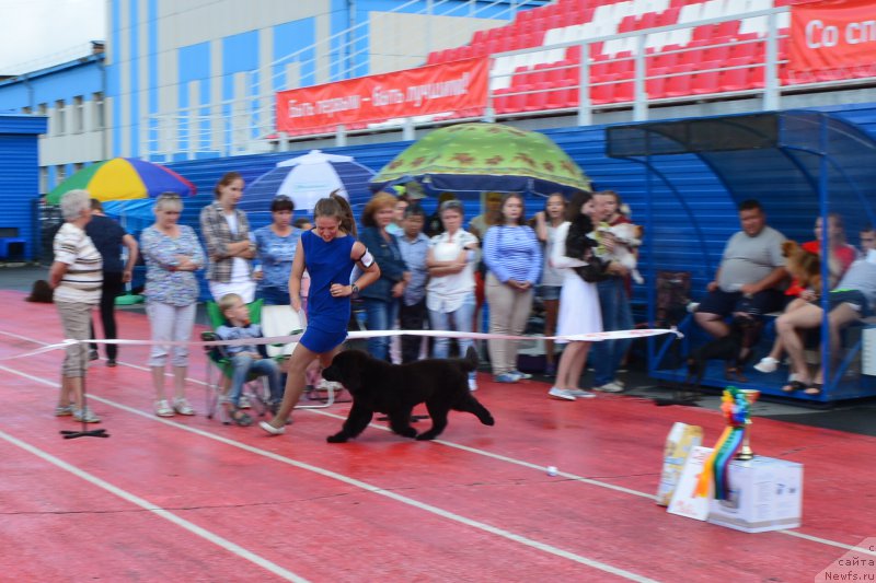 Фотография № 212339