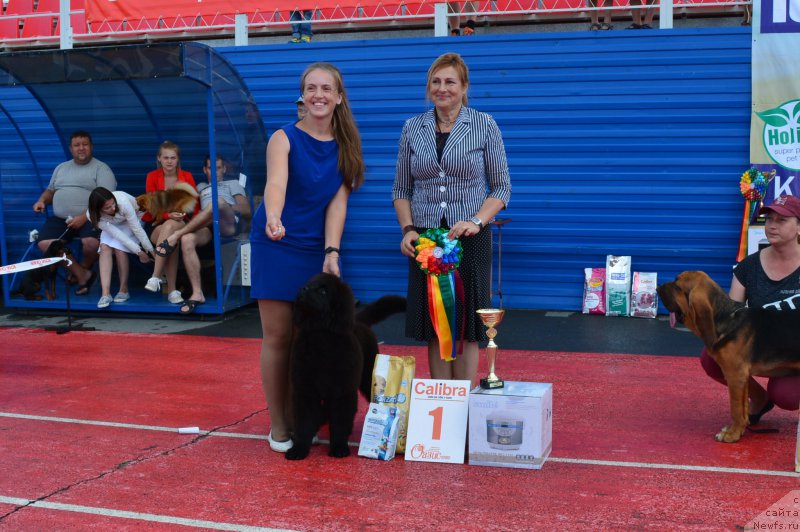 Фотография № 212341