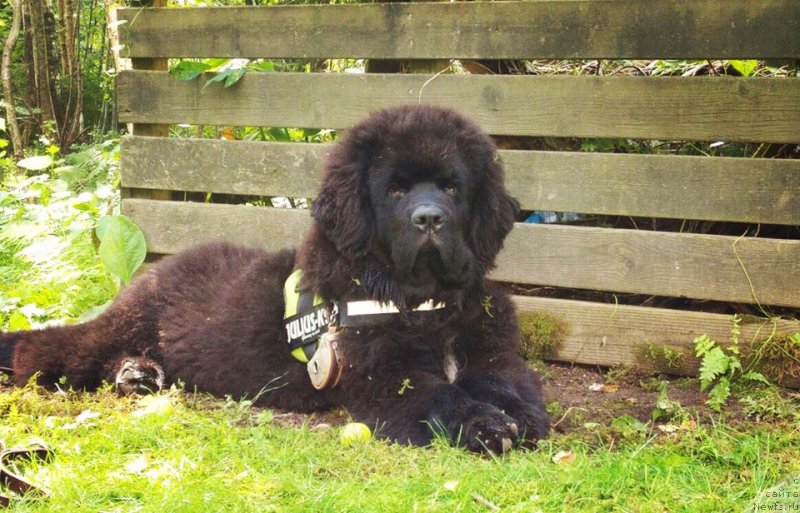 Фотография № 212344