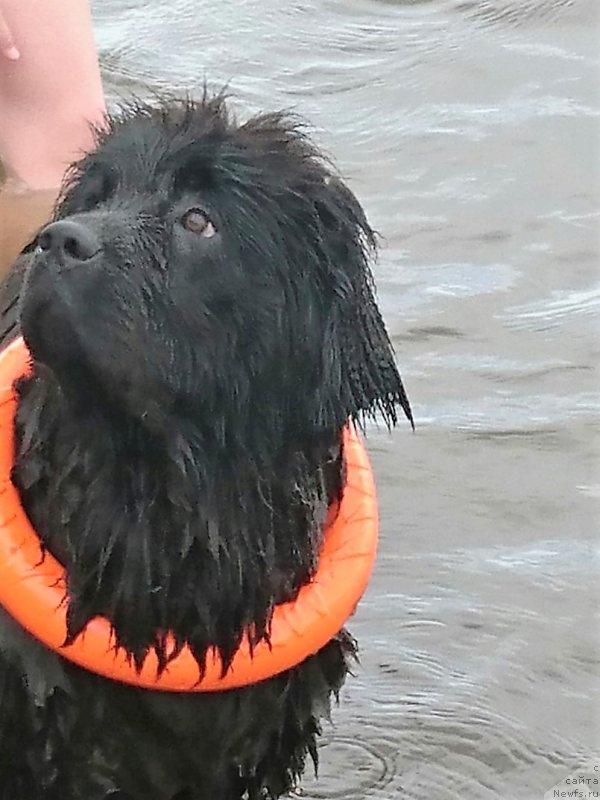 Фотография № 212386