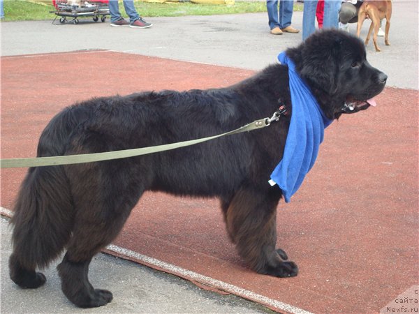 Фотография № 212390