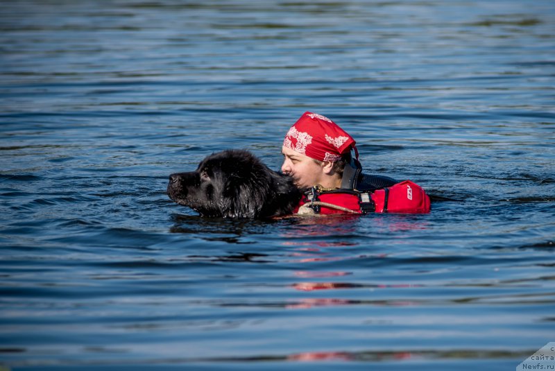 Фотография № 212403