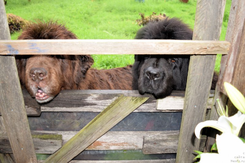 Фото: [d7785][d9247]