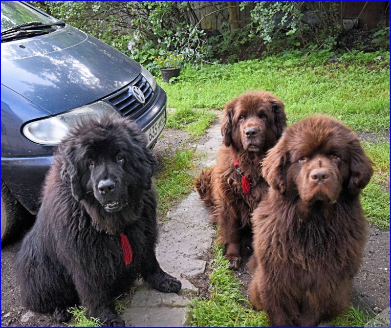 Фото: [d9247][d5440][d12531]