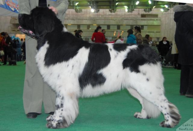 Фотография № 21247