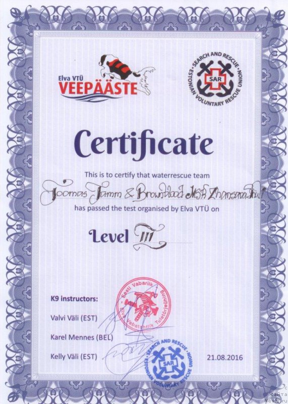 Фото: ньюфаундленд Brownblood MSK Zhansaya Shuli (Браунблад МСК Жансая Шули)