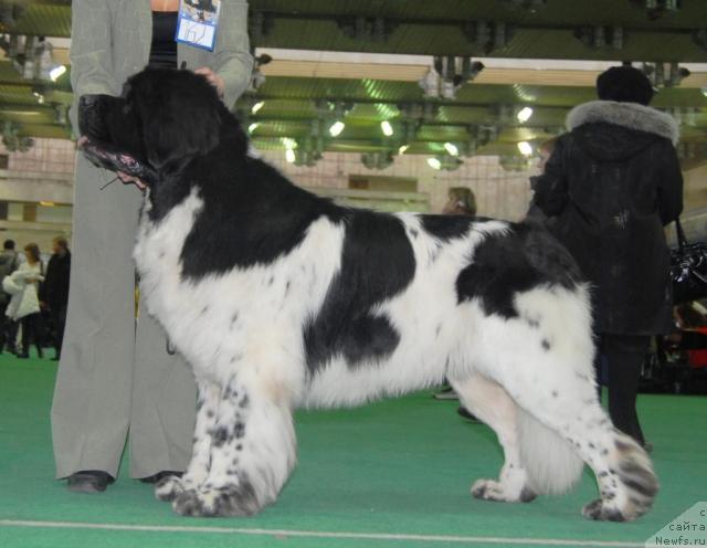 Фотография № 21248