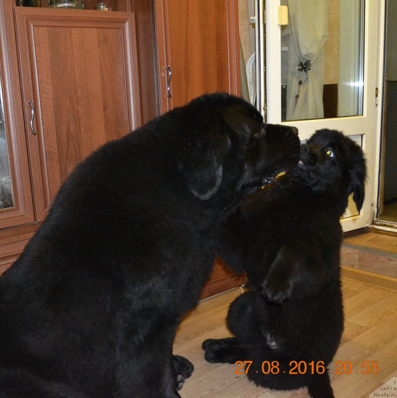 Фотография № 212484