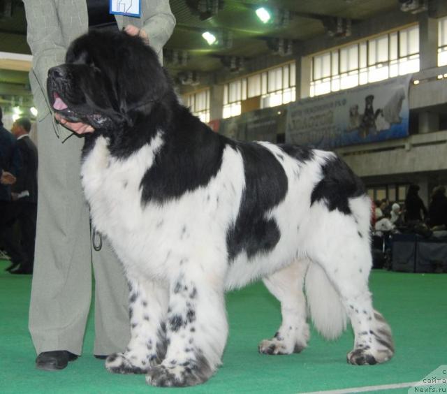 Фотография № 21249