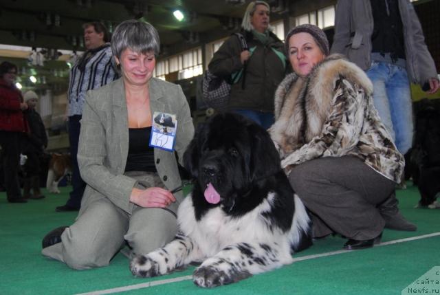 Фотография № 21251