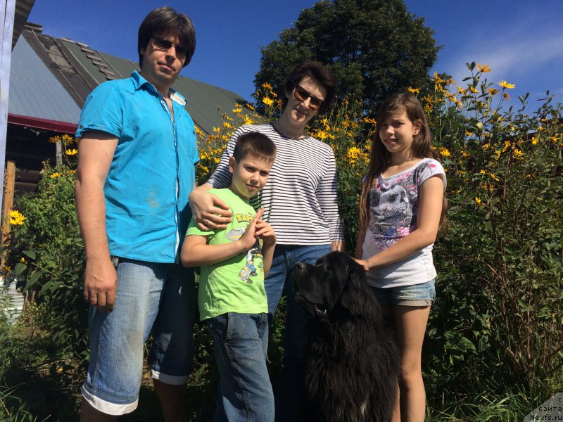 Фотография № 212519